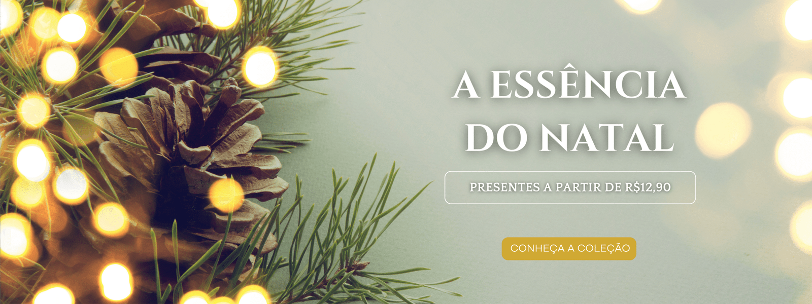 Banner Desktop 1920 x 720 mm scaled