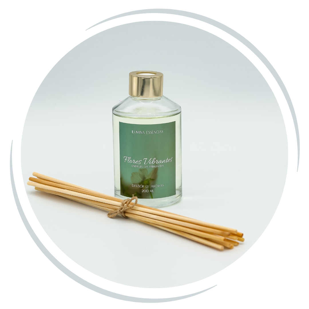 Copia de Categorias 5