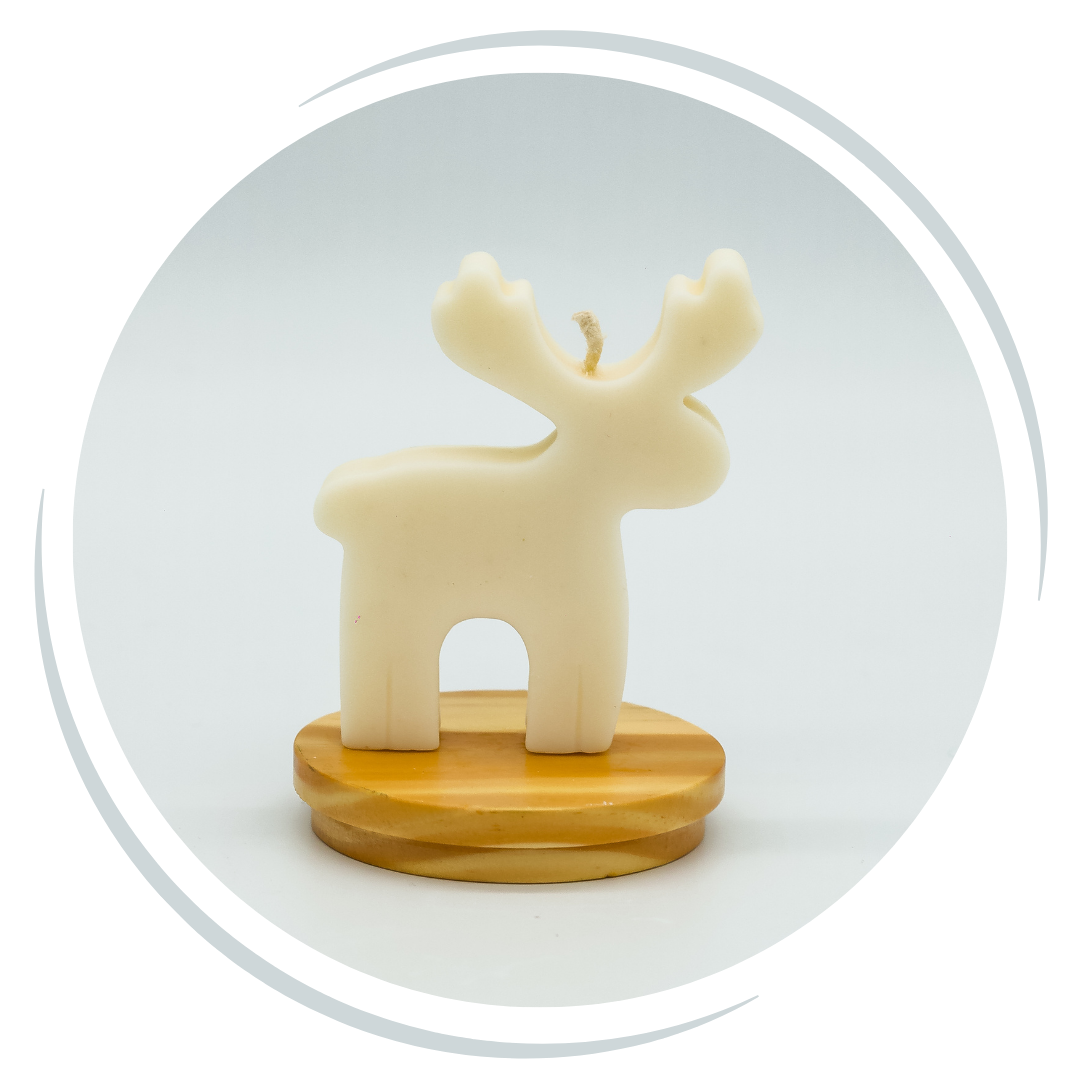 Copia de Categorias 8