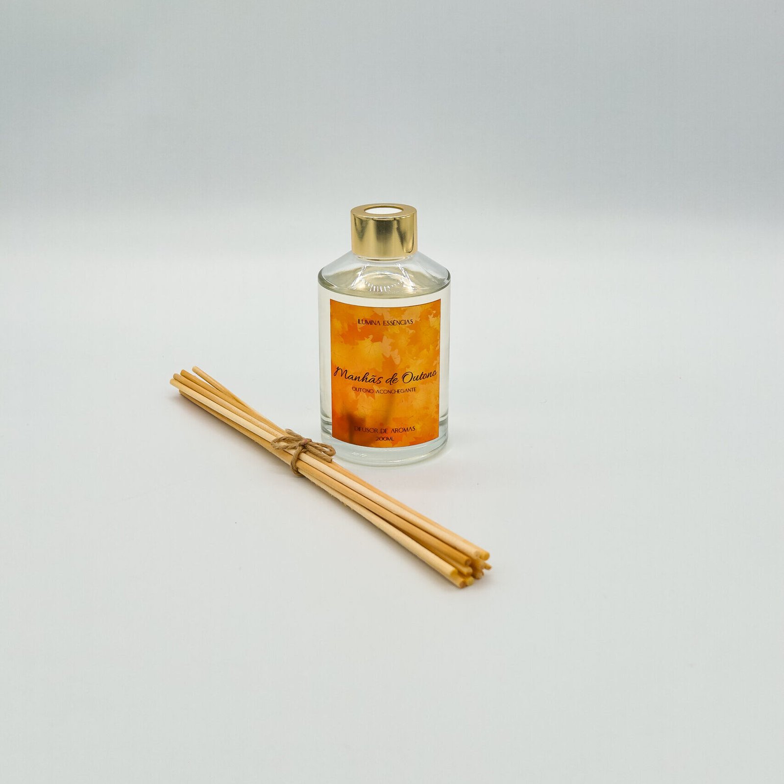 IMG 9730 scaled e1763925529926