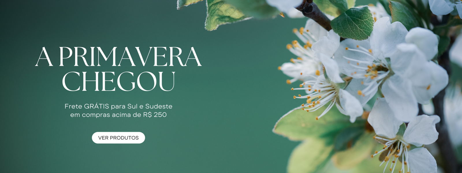 Banner Desktop 1920 x 720 mm 2 scaled